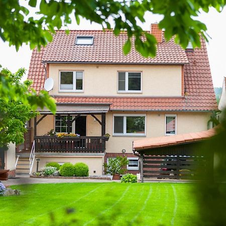 Ferienhaus Og1 "Westerwald Blick" Martinfeld Extérieur photo