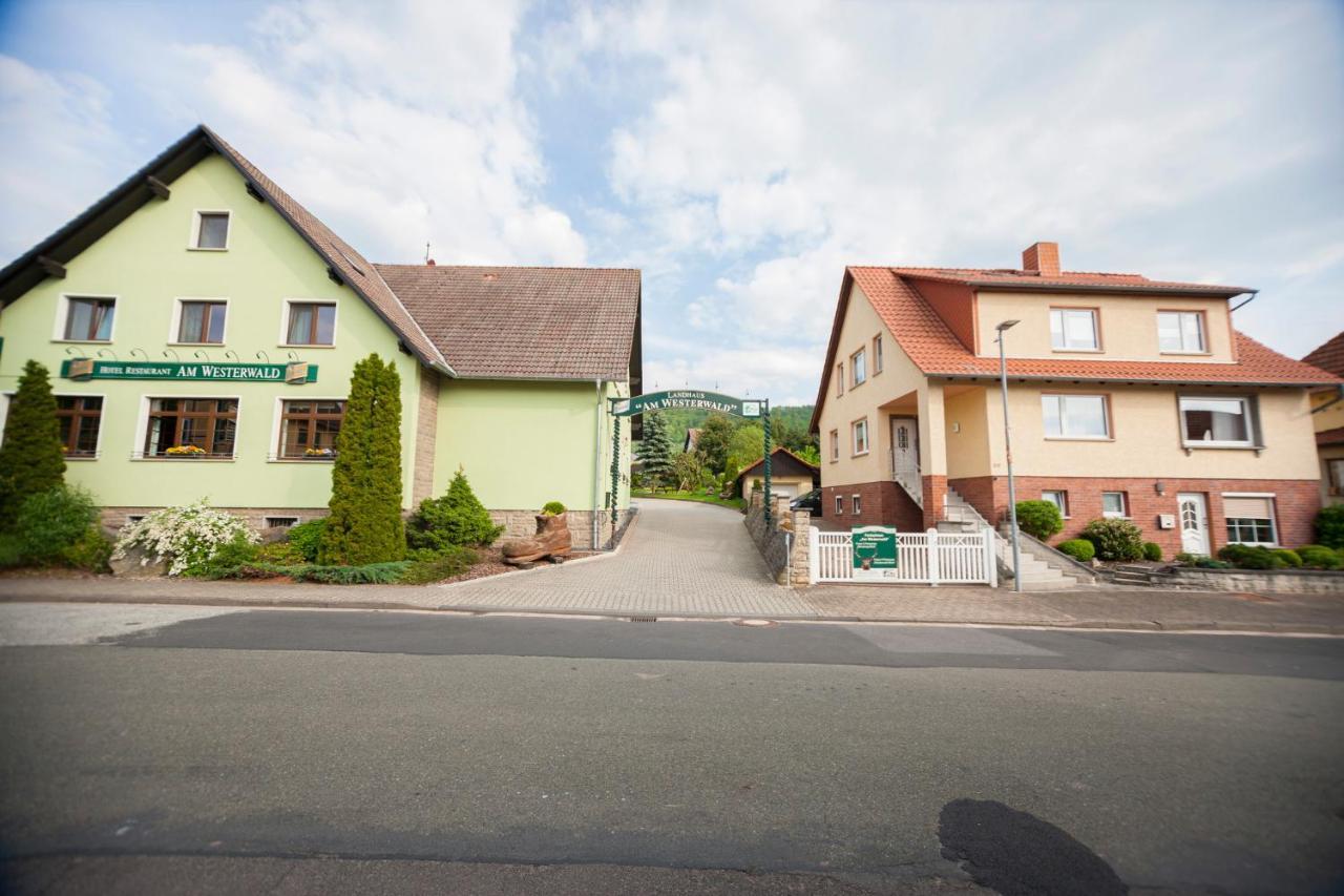Ferienhaus Og1 "Westerwald Blick" Martinfeld Extérieur photo
