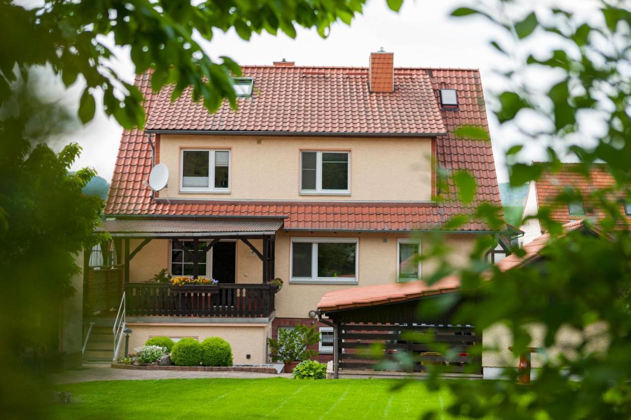 Ferienhaus Og1 "Westerwald Blick" Martinfeld Extérieur photo